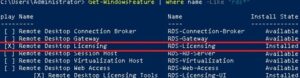 How to install RDS role and CALs on Windows Server 2019?