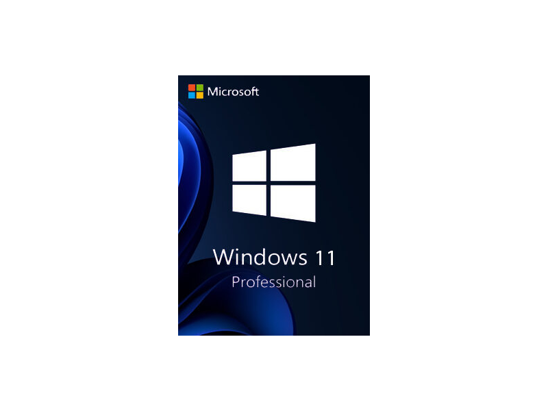 Windows 11 Professionnel 22H2 64 bits CS